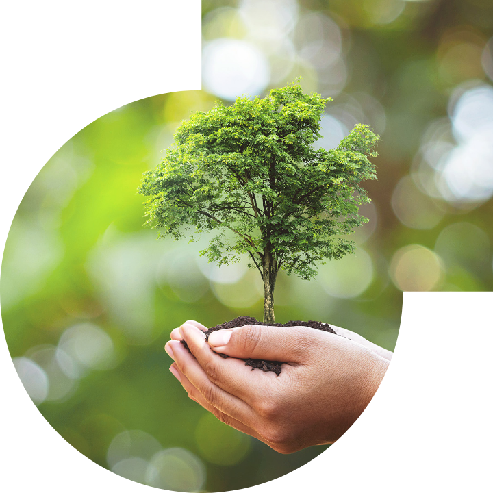 关怀人类、文化、环境与社会